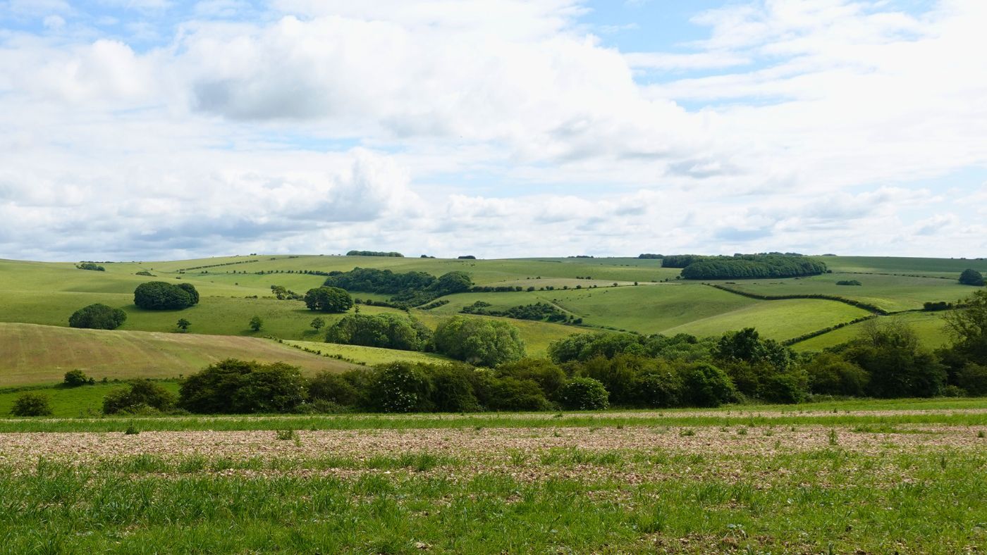 white clouds over green fields and hills