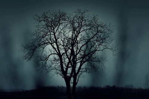 fear of the dark phobia