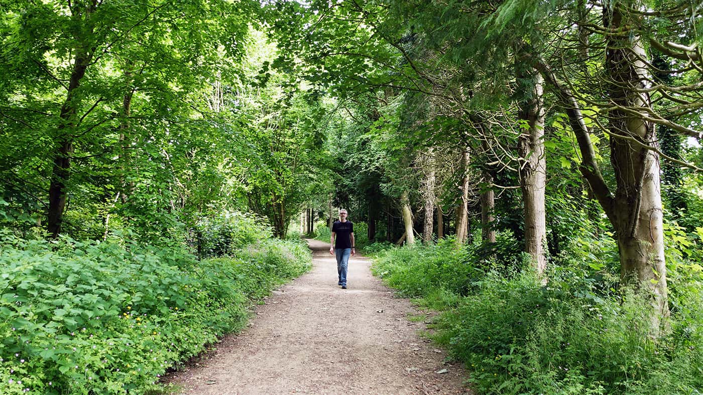 man walking outdoors in a forest