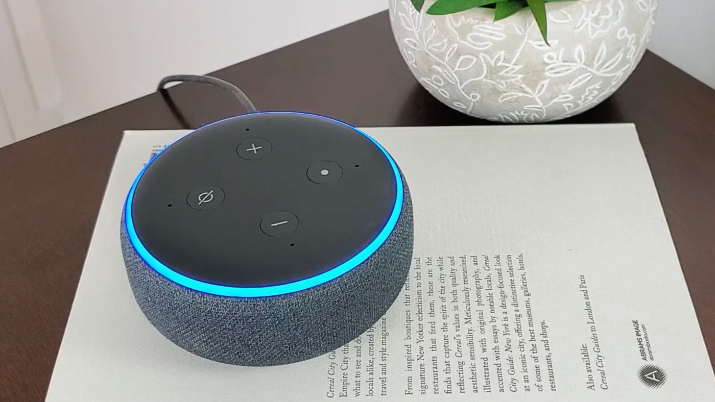 echo dot smart speaker