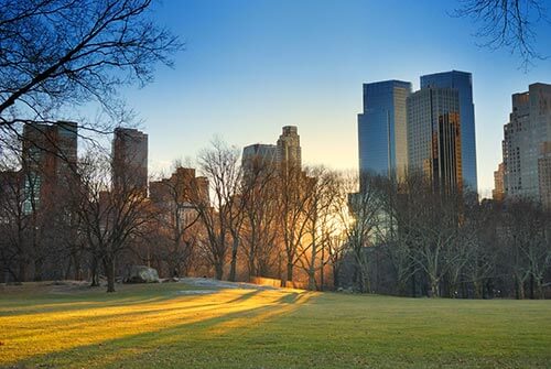 shaded grass area in central park in new york at sun set
