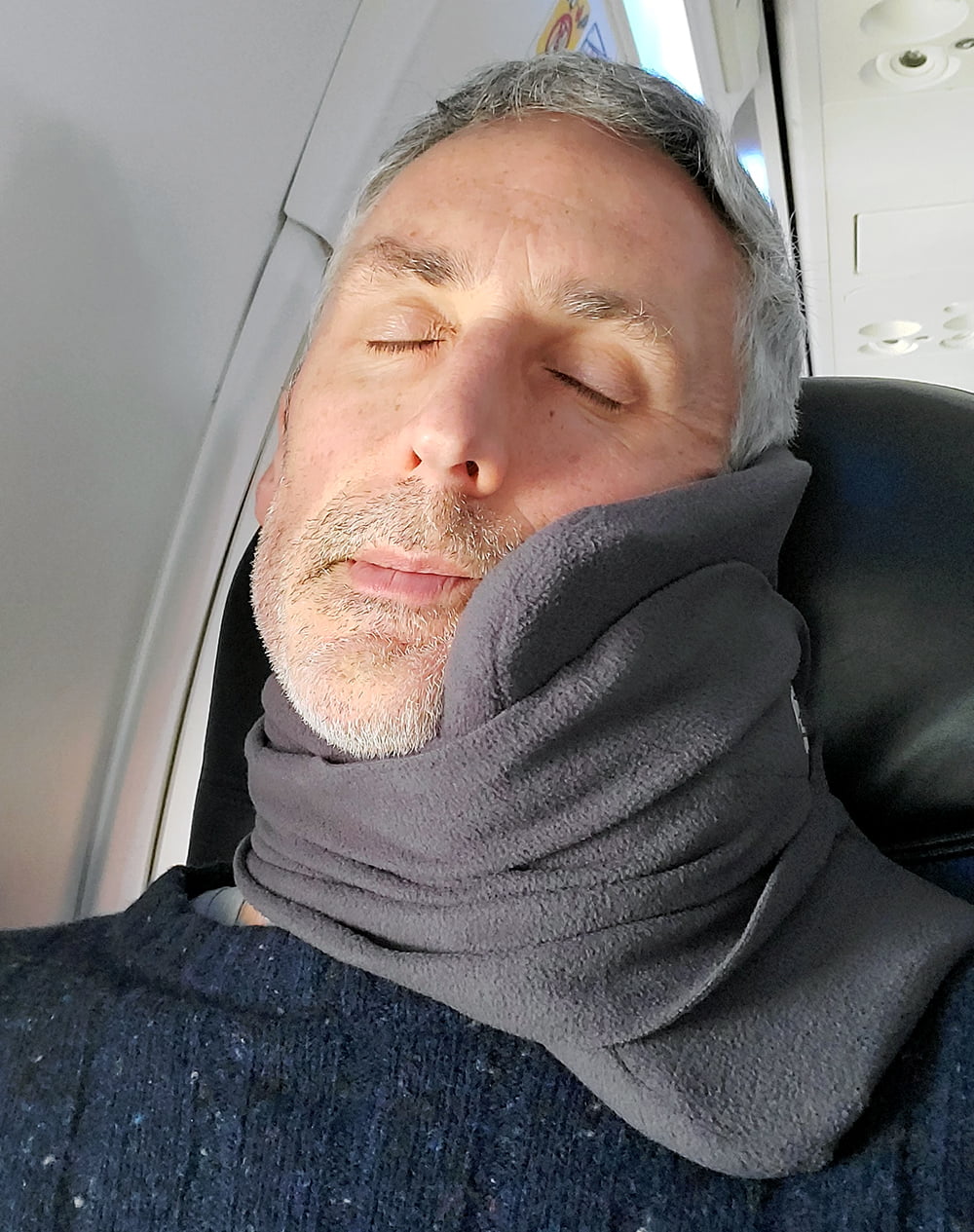 Trtl travel pillow